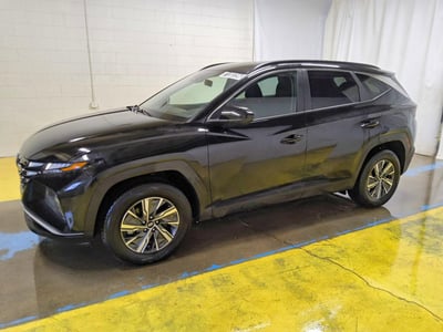 KM8JBCD19RU****** 2024 Hyundai Tucson Hybrid