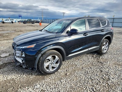 5NMS14AJ3PH****** 2023 Hyundai Santa Fe
