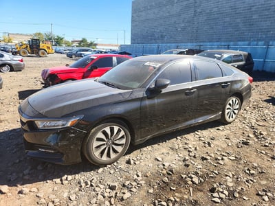 1HGCV1F31KA****** 2019 Honda Accord