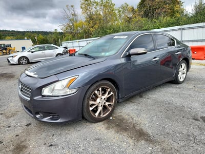 1N4AA5AP5DC****** 2013 Nissan Maxima