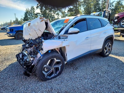 KM8JFCA11PU****** 2023 Hyundai Tucson Hybrid