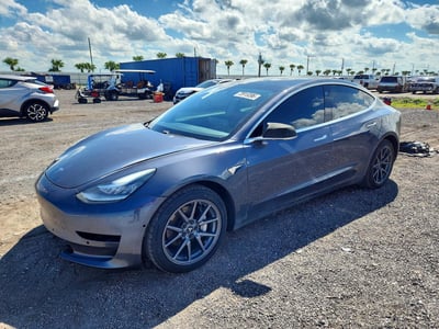 5YJ3E1EB3LF****** 2020 Tesla Model 3