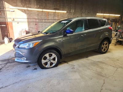 1FMCU0G77FU****** 2015 Ford Escape