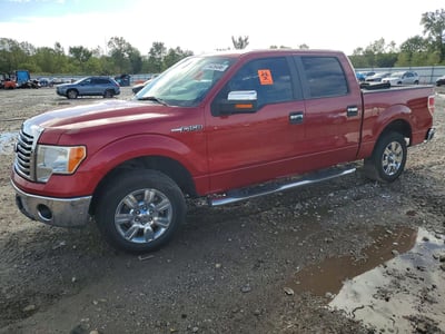 1FTFW1CV8AF****** 2010 Ford F-150