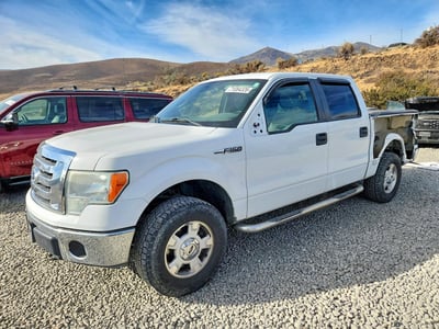 1FTFW1EF9BF****** 2011 Ford F-150