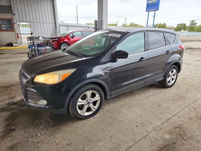 1FMCU0GX2EU****** 2014 Ford Escape