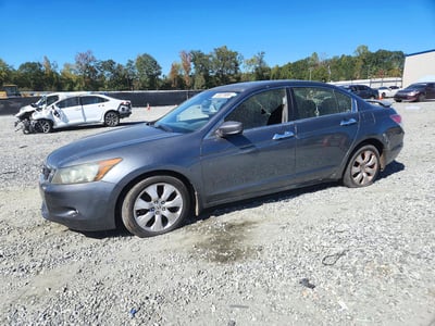 5KBCP36789B****** 2009 Honda Accord
