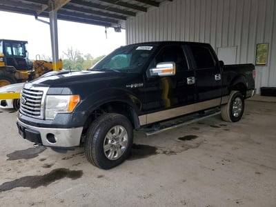 1FTFW1EF1CF****** 2012 Ford F-150