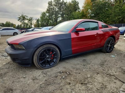 1ZVBP8AN1A5****** 2010 Ford Mustang