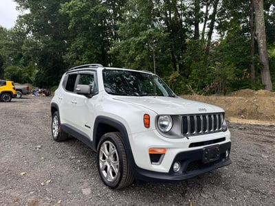 ZACNJBD11KP****** 2019 Jeep Renegade