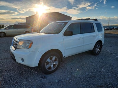5FNYF48529B****** 2009 Honda Pilot