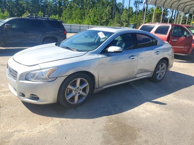 1N4AA5AP4AC****** 2010 Nissan Maxima