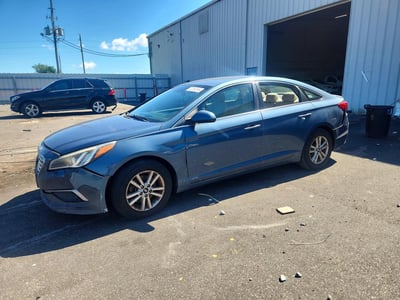 5NPE24AF4GH****** 2016 Hyundai Sonata