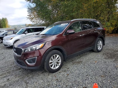5XYPG4A30JG****** 2018 Kia Sorento