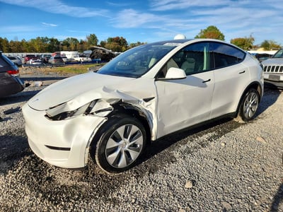 7SAYGDEE8PF****** 2023 Tesla Model Y