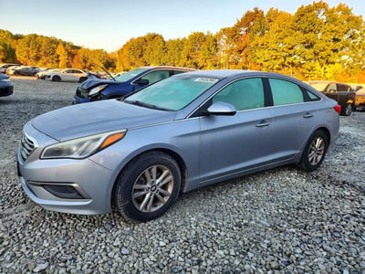 5NPE24AF9GH****** 2016 Hyundai Sonata