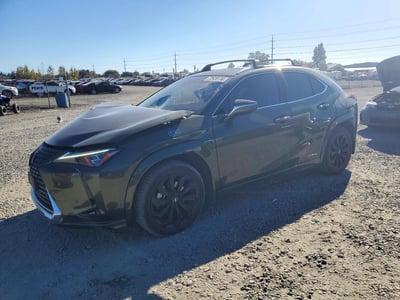 JTHL9JBH4L2****** 2020 Lexus UX Hybrid