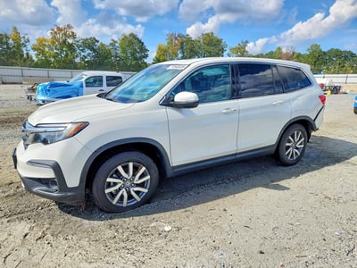 5FNYF5H47KB****** 2019 Honda Pilot