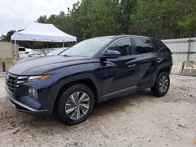 KM8JBCD1XRU****** 2024 Hyundai Tucson Hybrid
