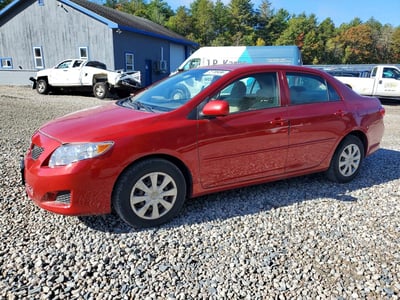 JTDBL40E399****** 2009 Toyota Corolla