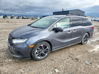5FNRL6H91NB****** 2022 Honda Odyssey