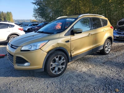 1FMCU9J9XEU****** 2014 Ford Escape