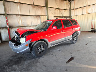 KM8SC13E14U****** 2004 Hyundai Santa Fe