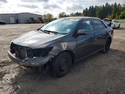 1NXBU4EE9AZ****** 2010 Toyota Corolla
