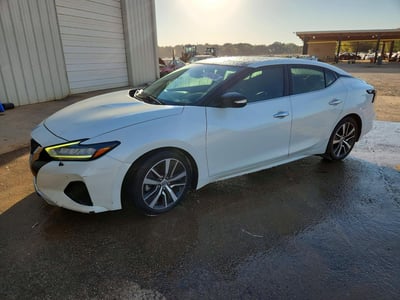 1N4AA6AV5KC****** 2019 Nissan Maxima