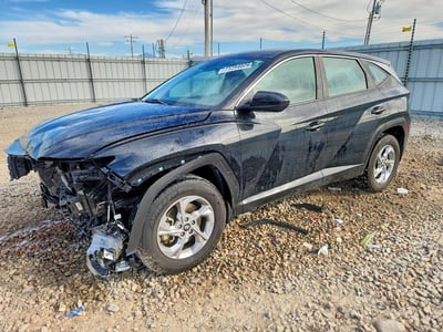 5NMJACDE8RH****** 2024 Hyundai Tucson