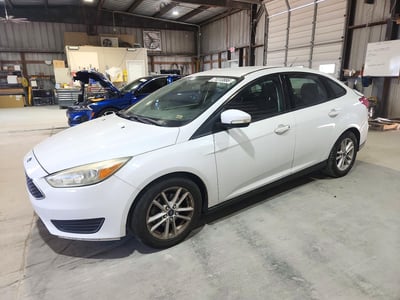 1FADP3F29GL****** 2016 Ford Focus