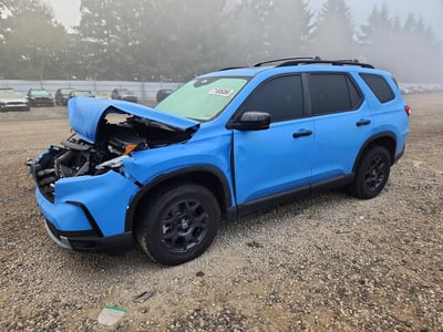 5FNYG1H68PB****** 2023 Honda Pilot