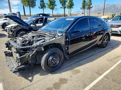 4T1B11HK1KU****** 2019 Toyota Camry
