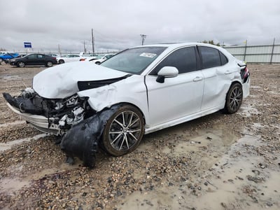 4T1T11AK8PU****** 2019 Toyota Camry