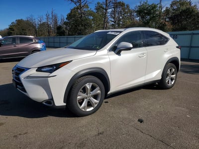 JTJBARBZ2H2****** 2017 Lexus NX