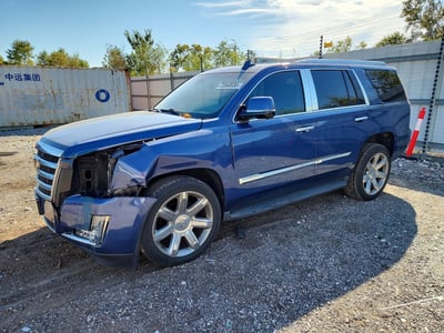 1GYS4BKJXGR****** 2016 Cadillac Escalade
