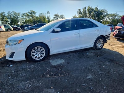 4T1BF1FK7EU****** 2014 Toyota Camry