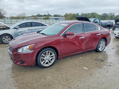 1N4AA51E49C****** 2009 Nissan Maxima