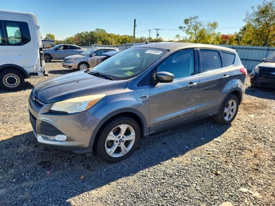 1FMCU0GX7EU****** 2014 Ford Escape