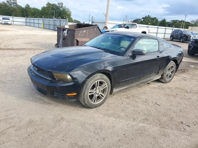1ZVBP8AN7A5****** 2010 Ford Mustang