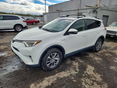 JTMRJREV9GD****** 2016 Toyota RAV4