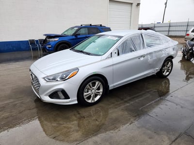 5NPE34AFXKH****** 2019 Hyundai Sonata