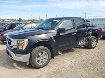 1FTEW1EP7PF****** 2023 Ford F-150