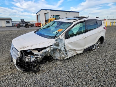 1FMCU9J97KU****** 2019 Ford Escape