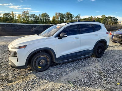 5NMS64AJ8PH****** 2023 Hyundai Santa Fe