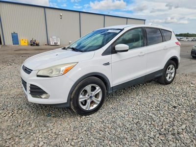 1FMCU0GX5EU****** 2014 Ford Escape
