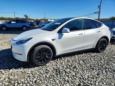 7SAYGDEE7PA****** 2023 Tesla Model Y