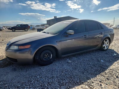 19UUA66216A****** 2006 Acura TL