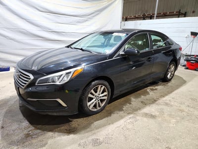 5NPE24AF7HH****** 2017 Hyundai Sonata