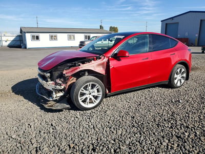 7SAYGDEE6PF****** 2023 Tesla Model Y